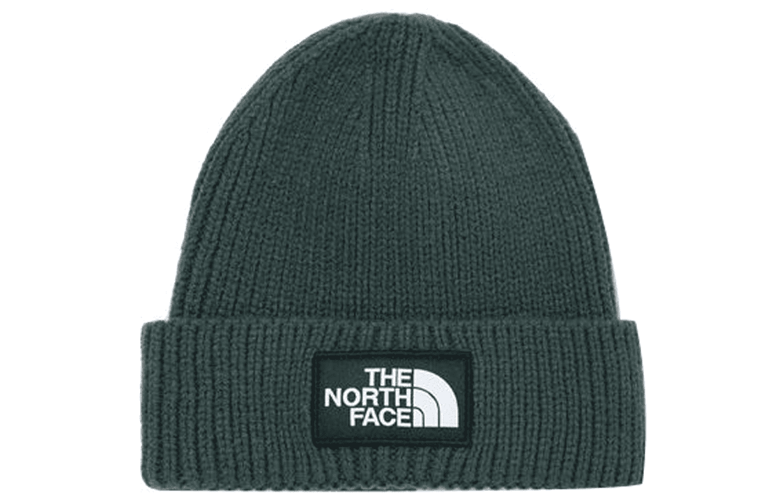 北面/THE NORTH FACE The North Face Classic Logo Beanie Dark Green