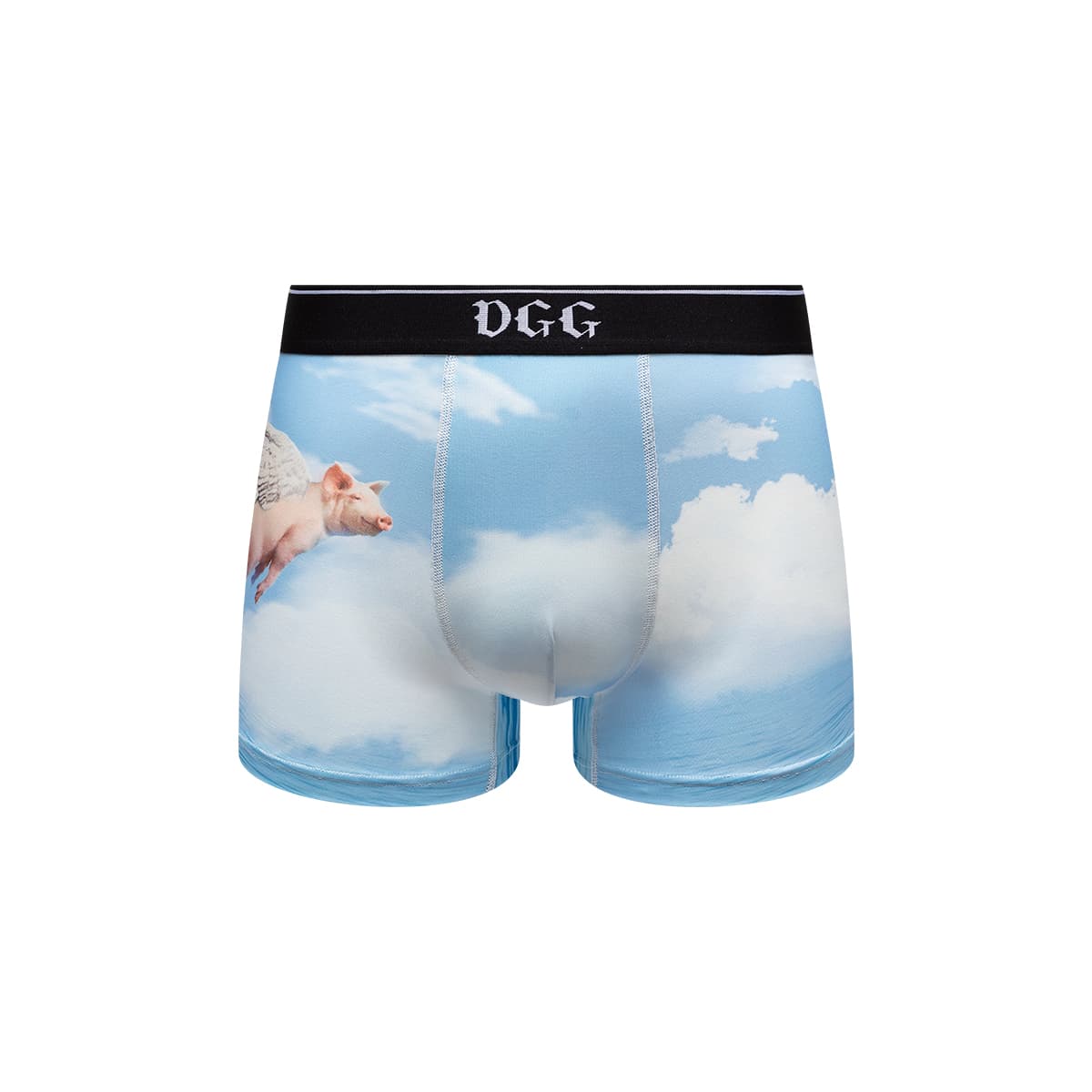 DGG