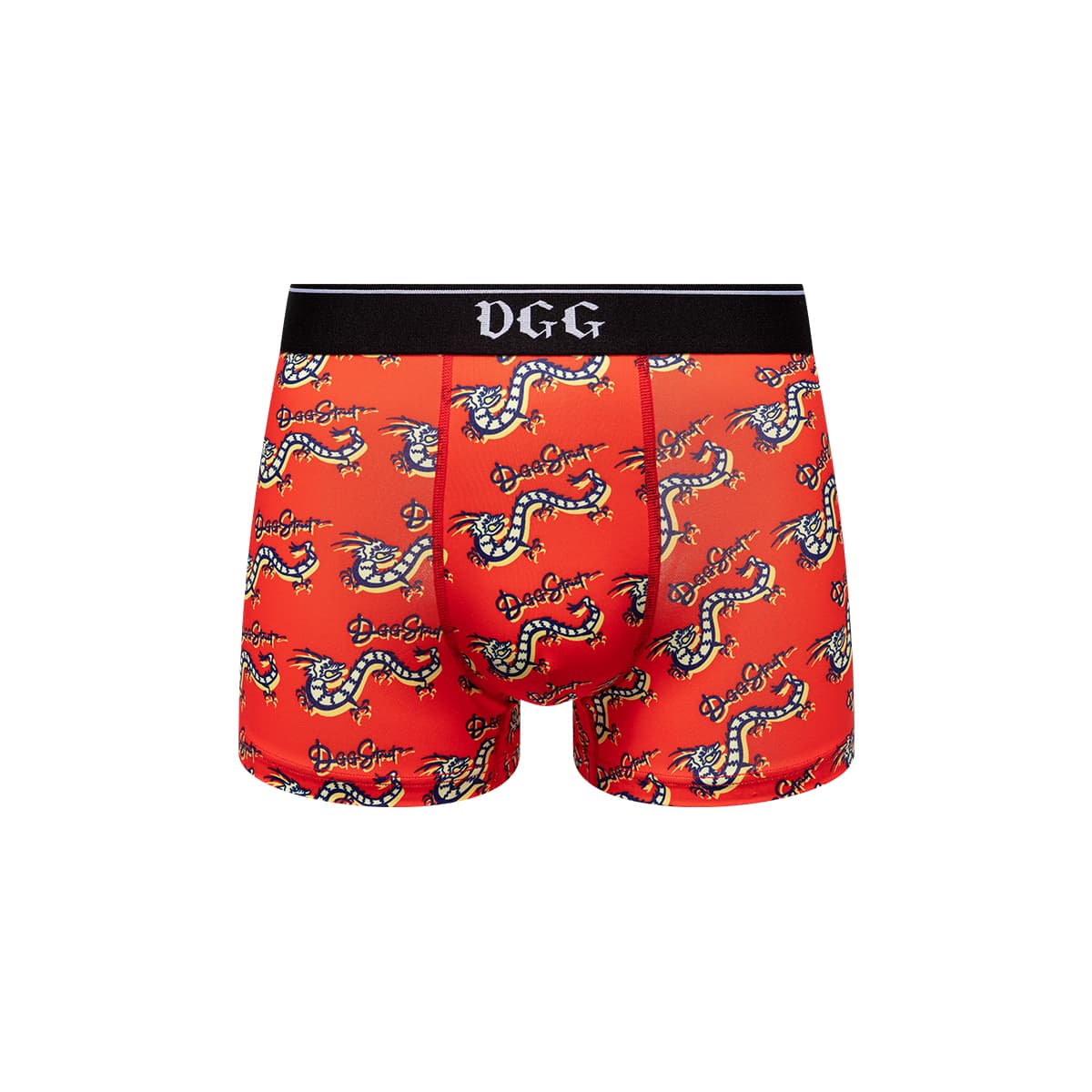 DGG 1