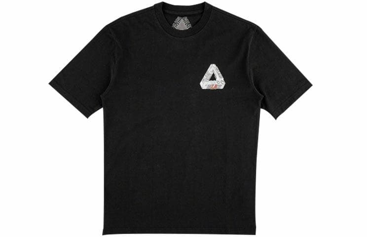 PALACE Terminator