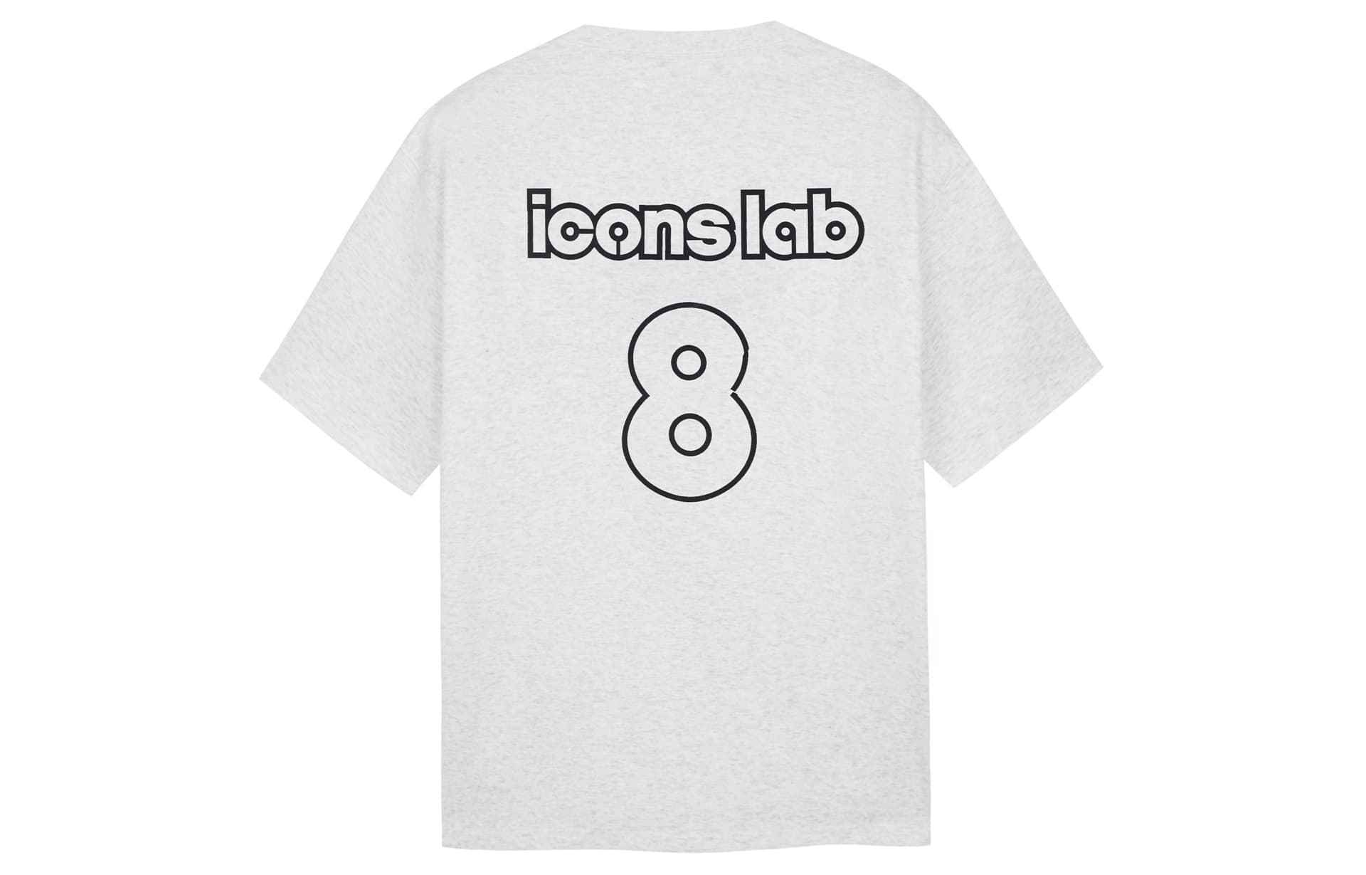 ICONS Lab 8T
