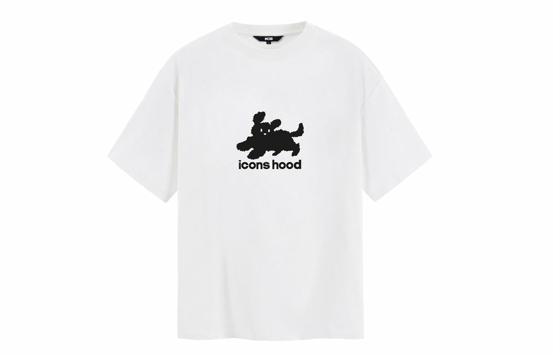 ICONS Lab T