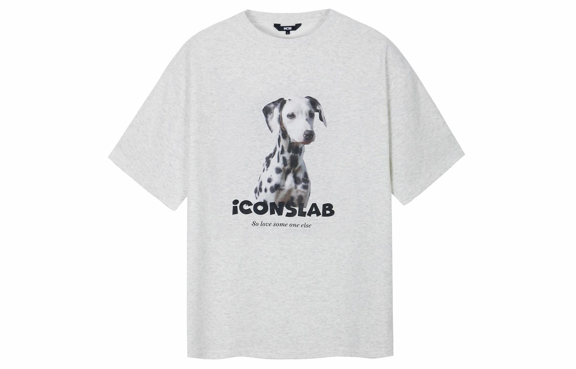 ICONS Lab