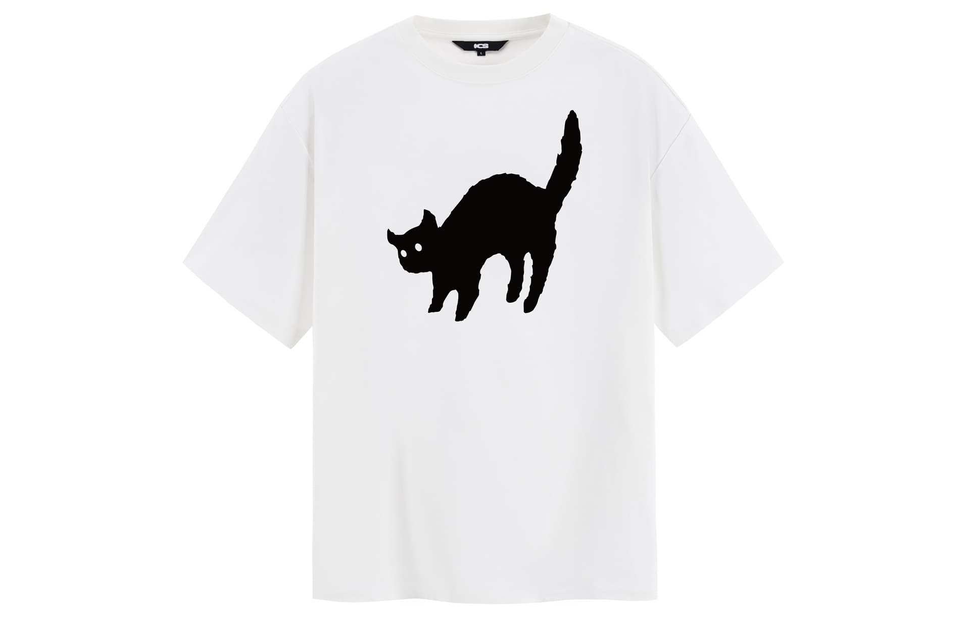 ICONS Lab T