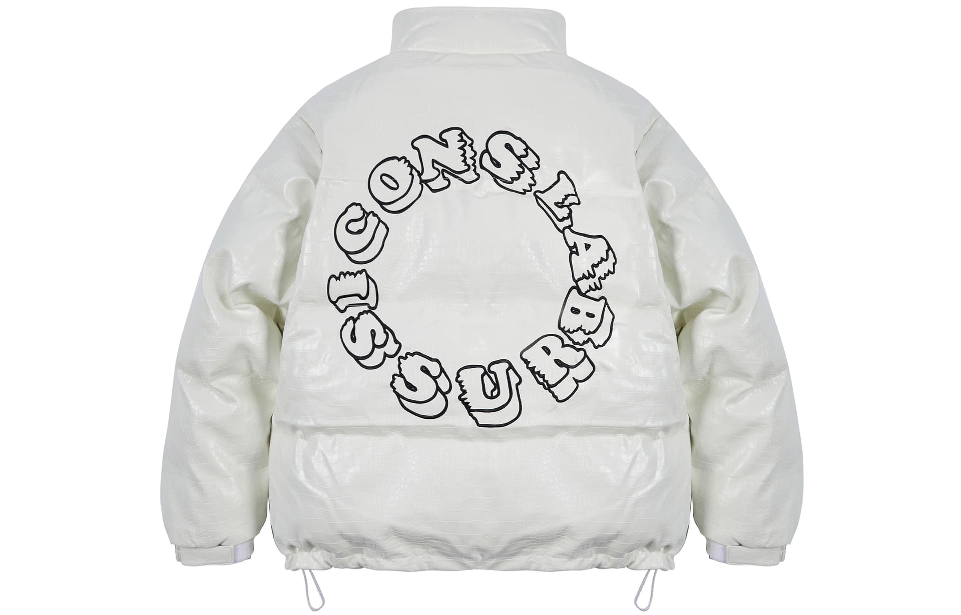 ICONS Lab Pu