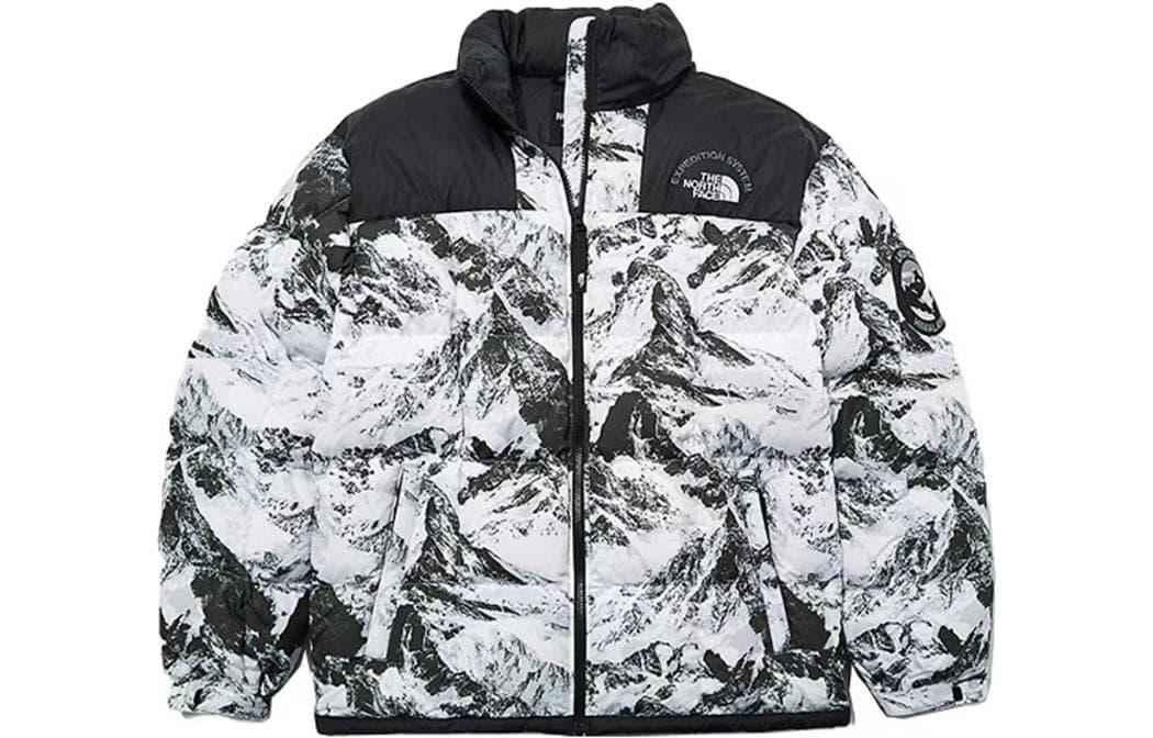 北面/THE NORTH FACE The North Face FW22 Down Jacket Black
