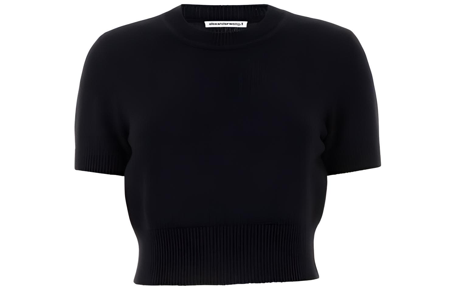 alexander wang T