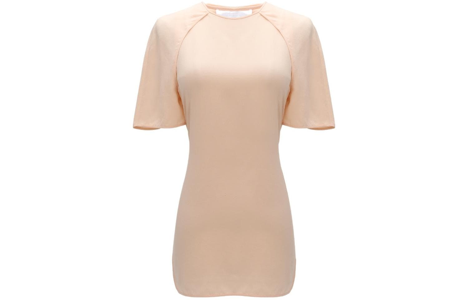 alexander wang T