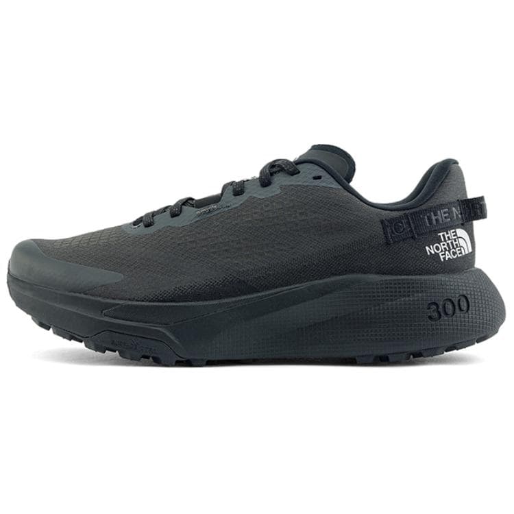 北面/THE NORTH FACE The North Face Altamesa 300 Black Green