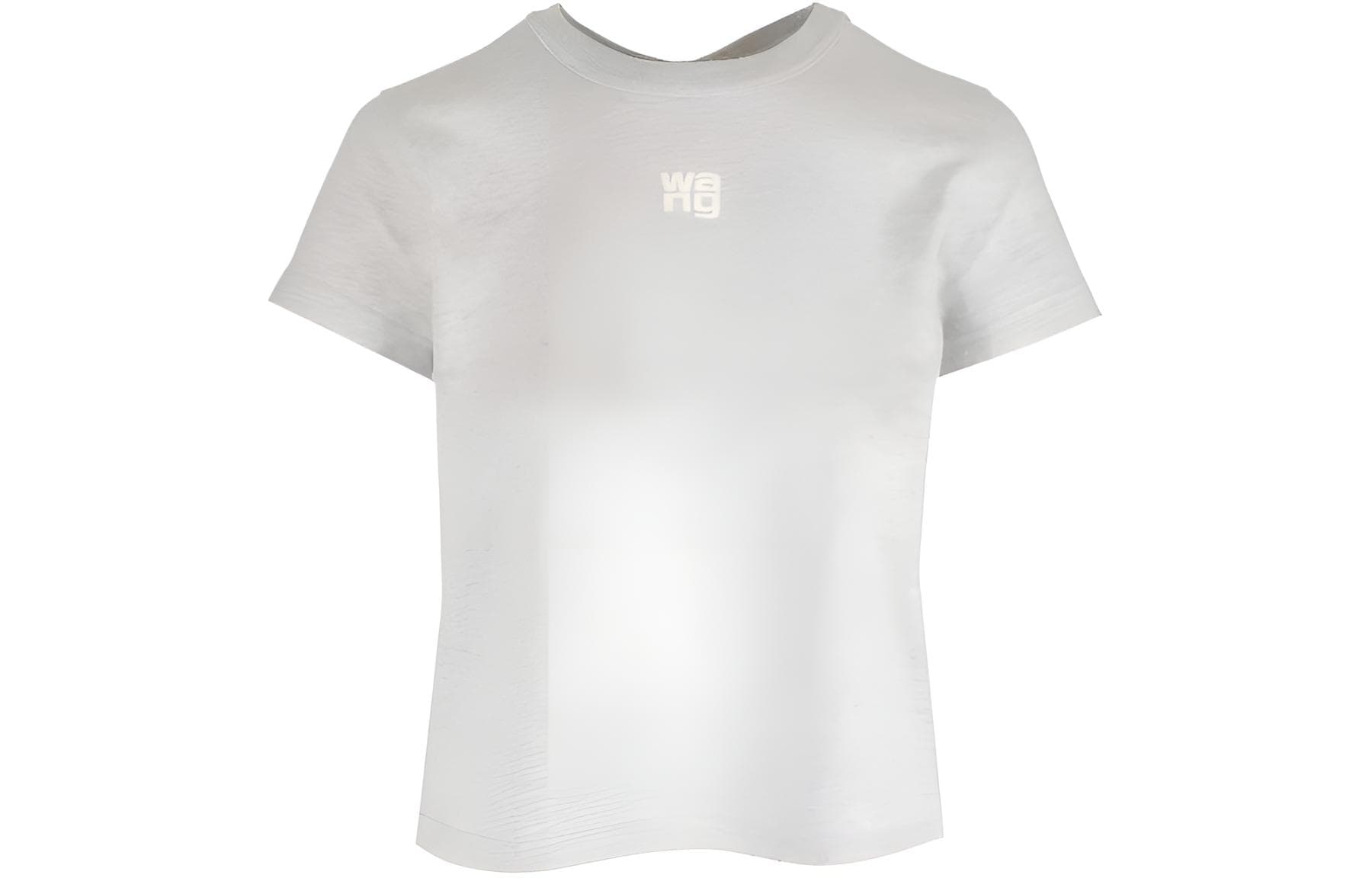 alexander wang T