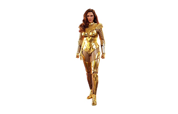 Hot Toys 16 5.0 30.5cm