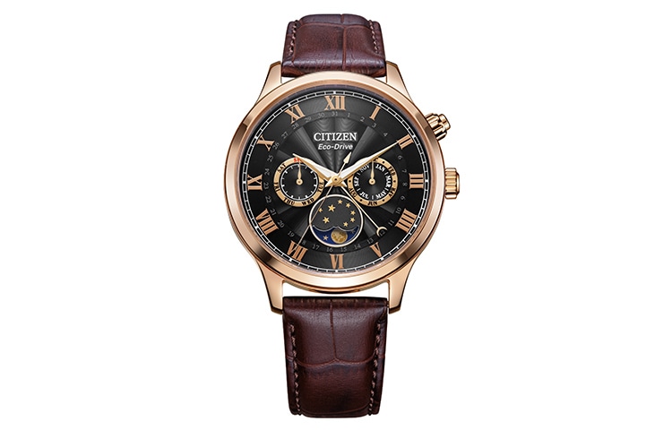 CITIZEN/西铁城 CITIZEN AP1059-19E