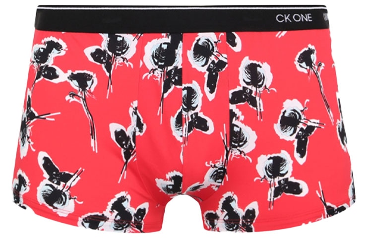CKCalvin Klein