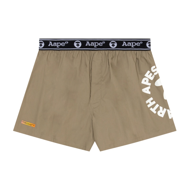 Aape 1