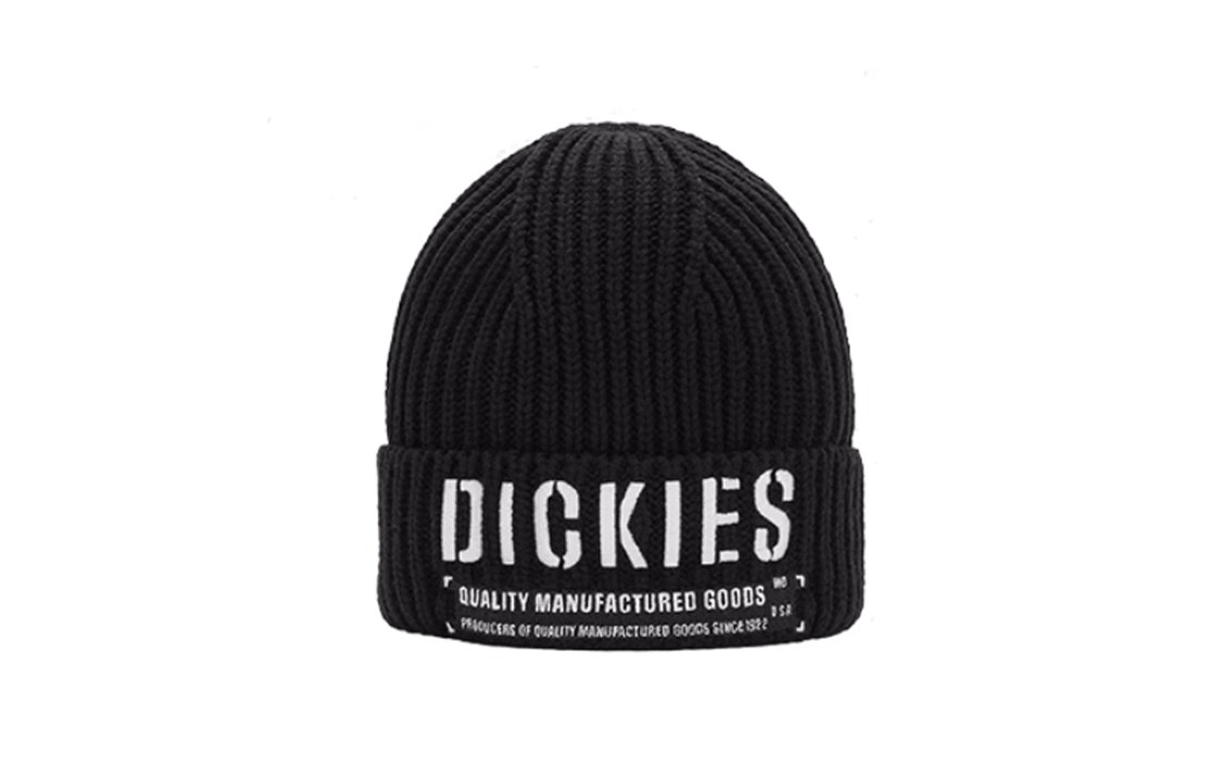 Dickies Beanie Black