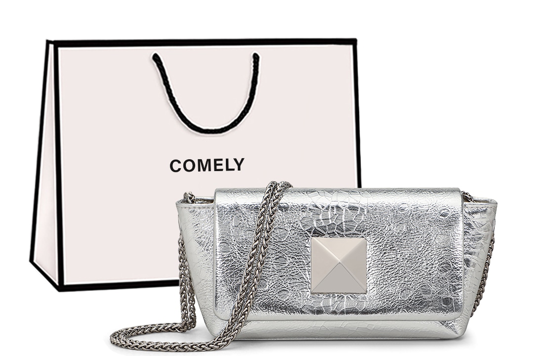 康莉/COMELY COMELY Small Chain Bag Silver