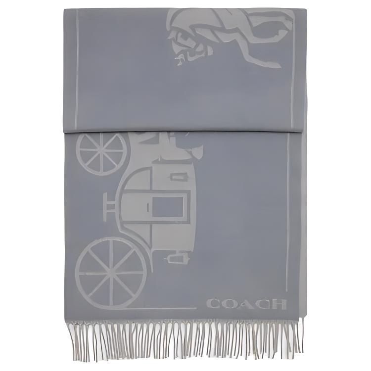 COACH/蔻驰 COACH Scarf