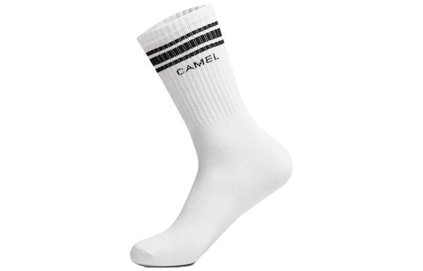 CAMEL骆驼 CAMEL