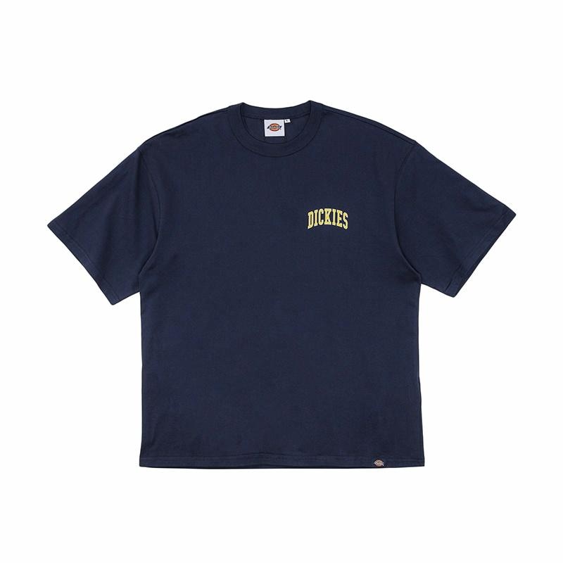 Dickies DK012902B29
