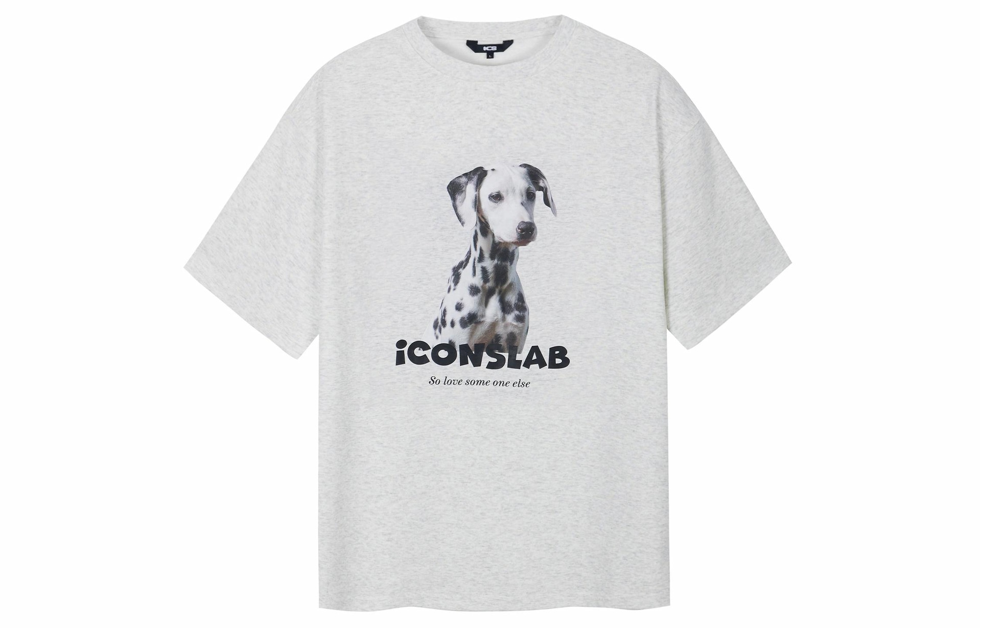 ICONS Lab