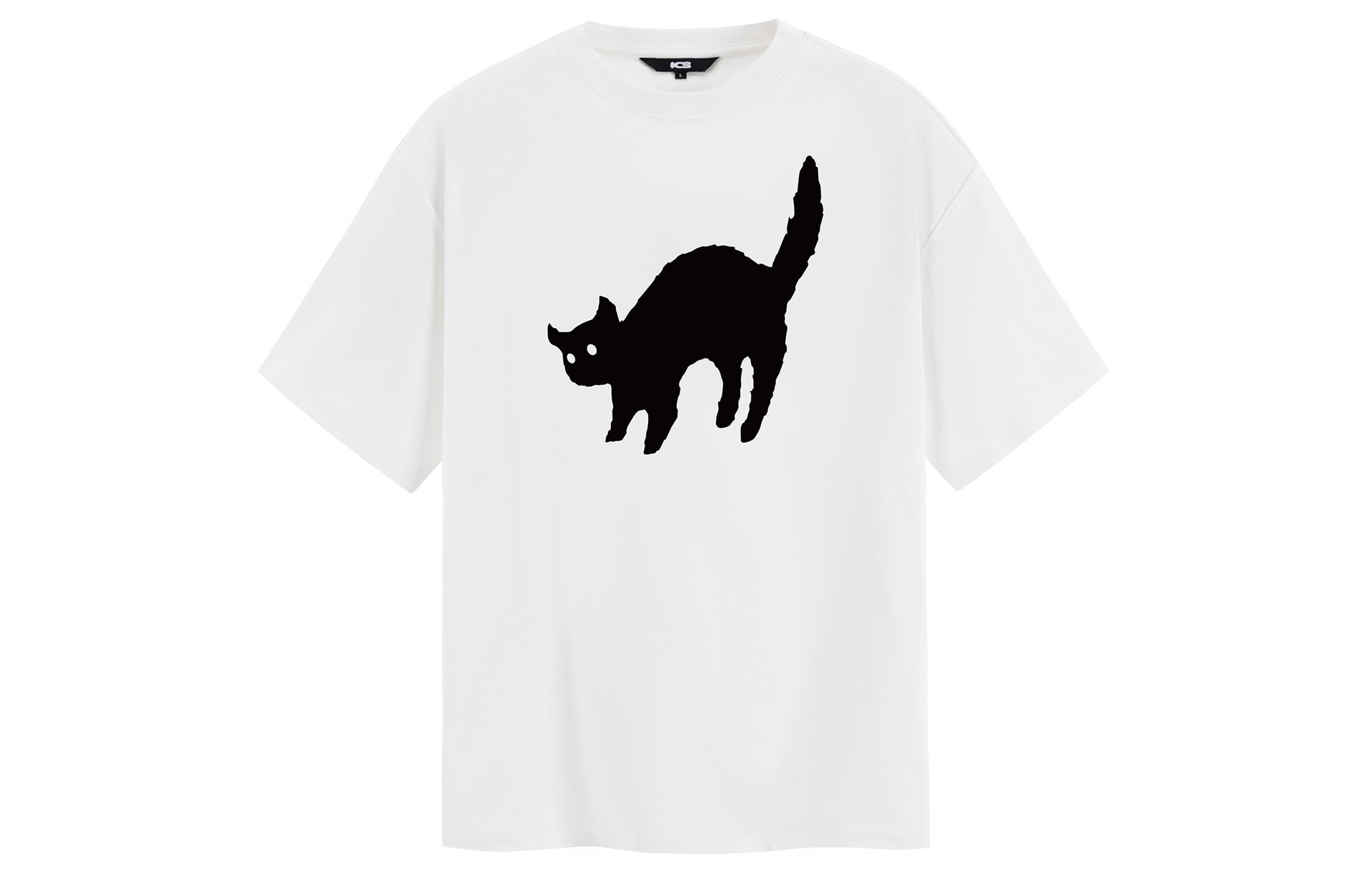 ICONS Lab T