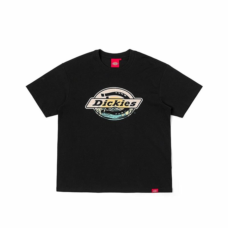 Dickies DK0A88AW