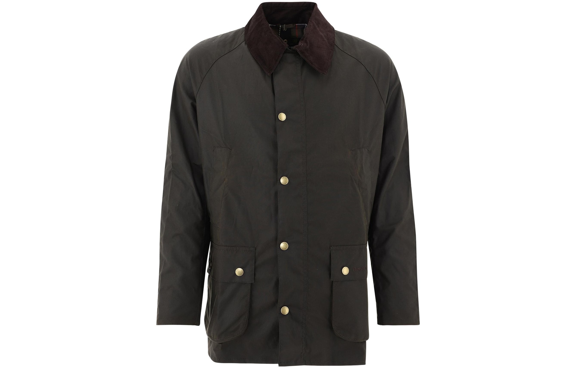Barbour Ashby