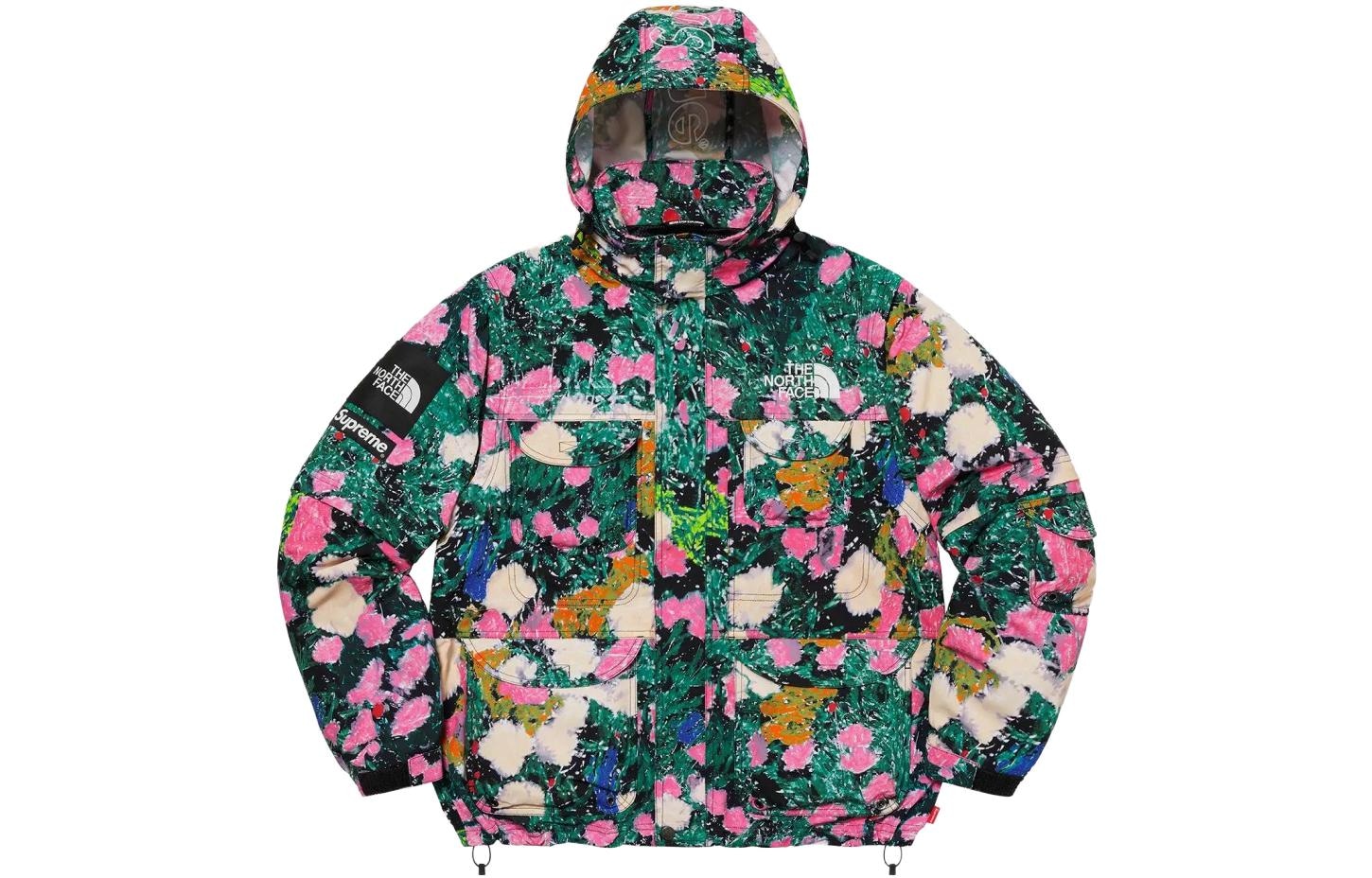 Supreme x THE NORTH FACE Logo