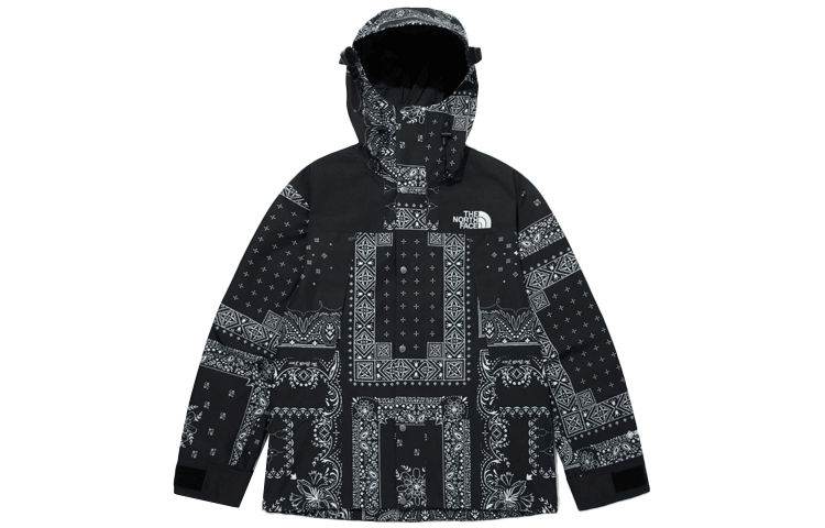 北面/THE NORTH FACE The North Face Novelty Gtx Mountain Jacket 1990 Black