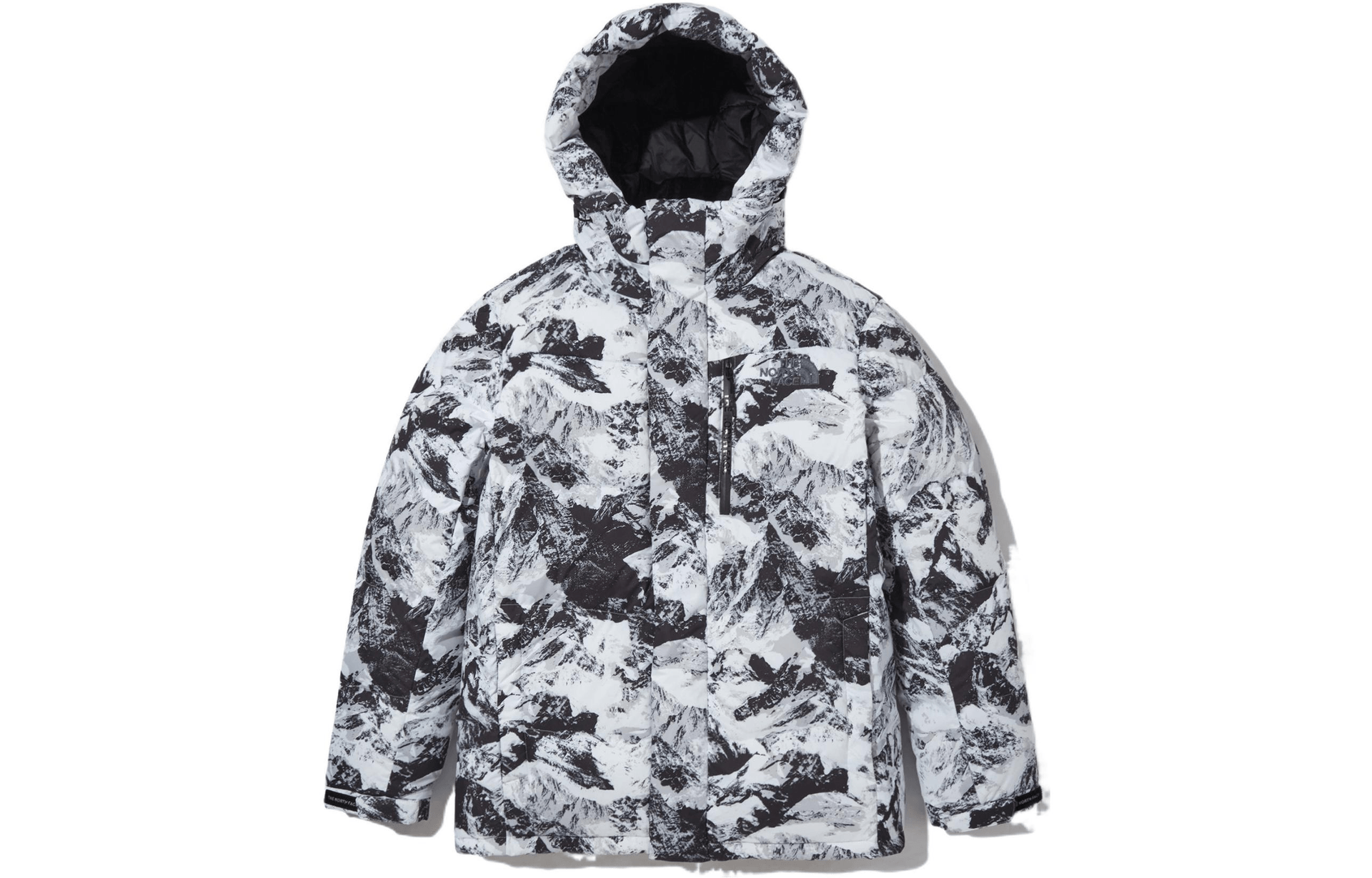 北面/THE NORTH FACE The North Face Novelty Snow Print Zip Hoodie