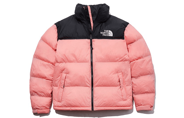 北面/THE NORTH FACE The North Face Nuptse