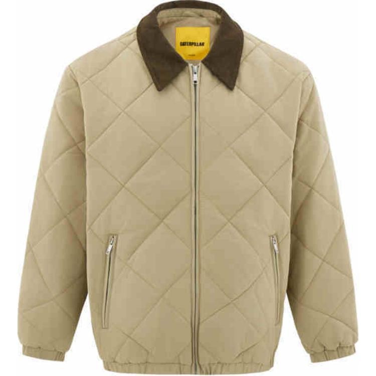 CAT FW24