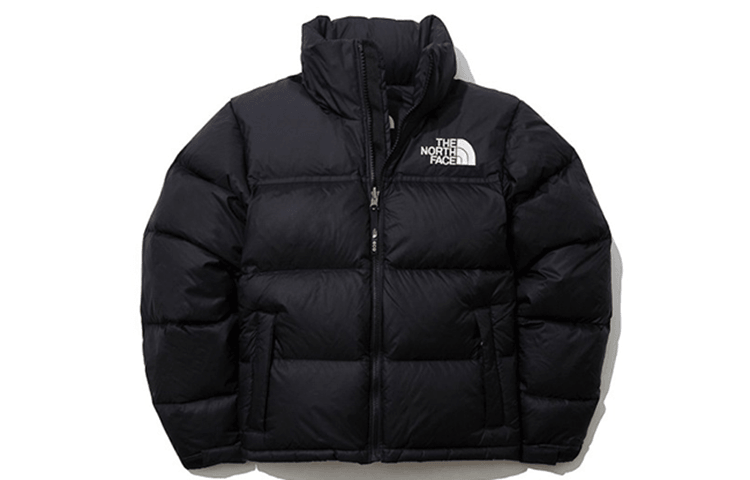 北面/THE NORTH FACE The North Face 1996 Nuptse Eco Hoodie