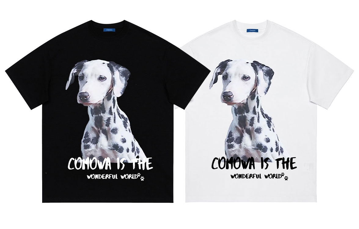 COMOWA LogoT