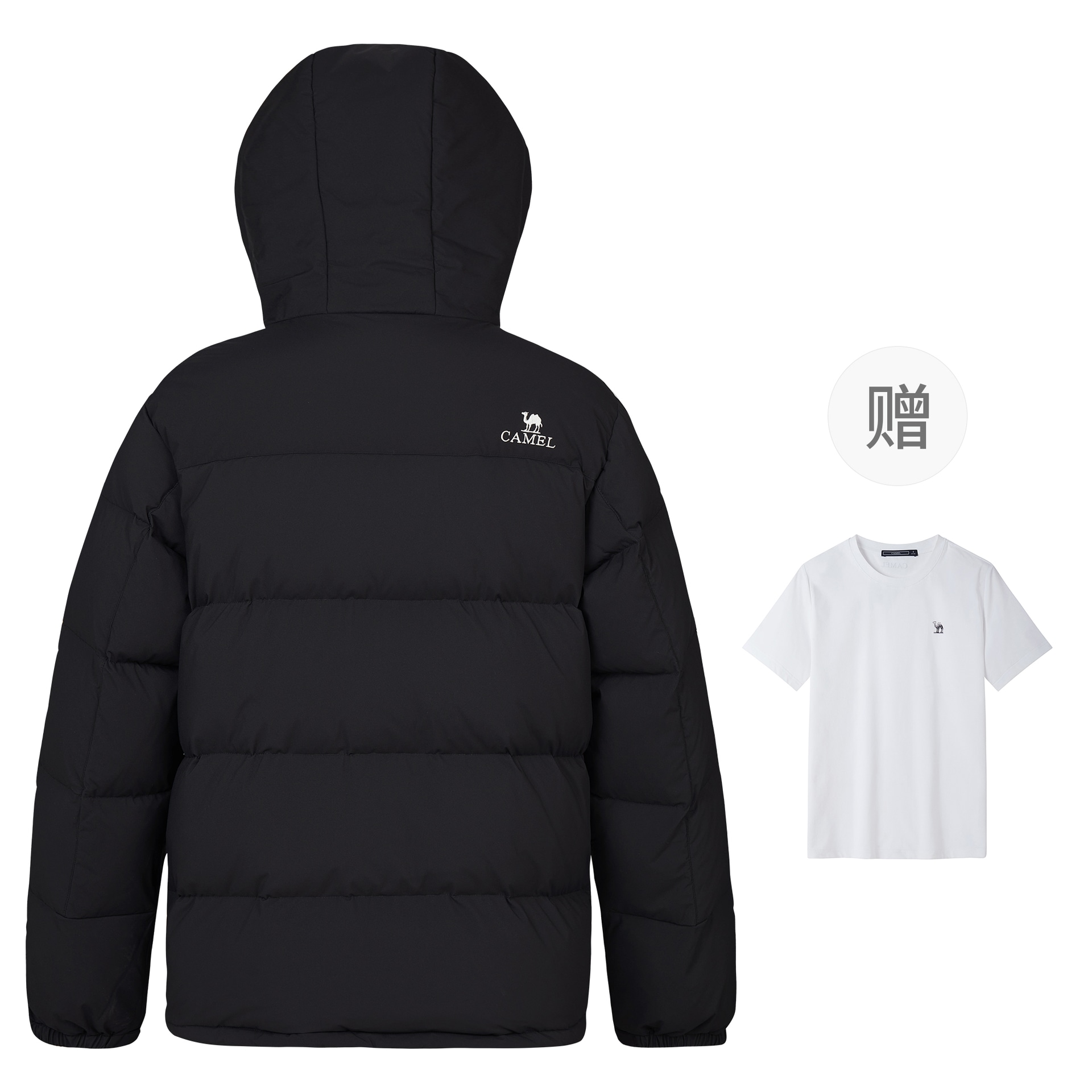 CAMEL骆驼 CAMEL