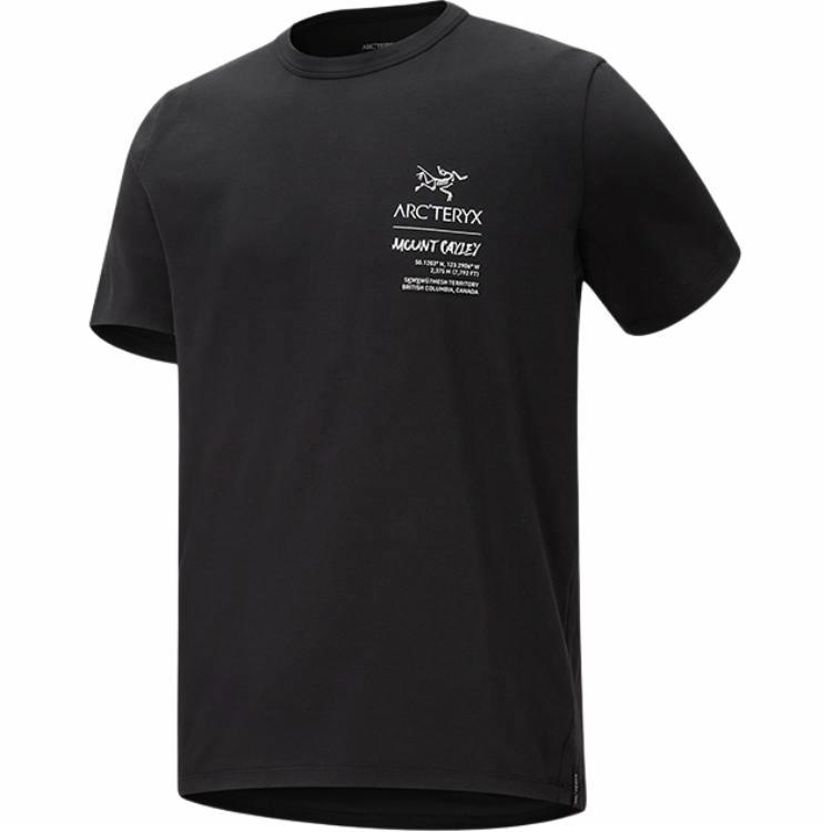 Arcteryx Captive Legend