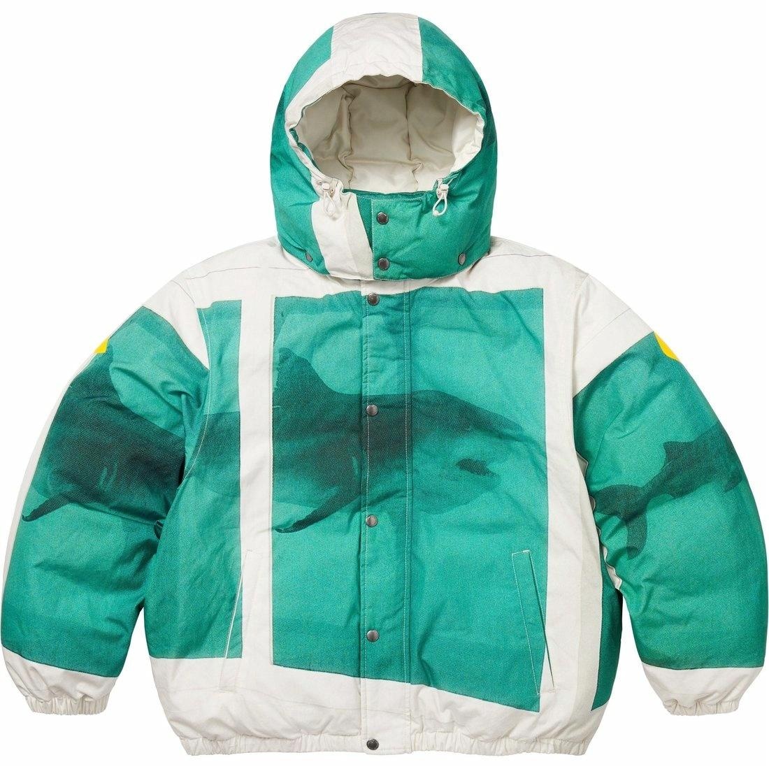 Supreme x Damien Hirst Down Puffer Jacket