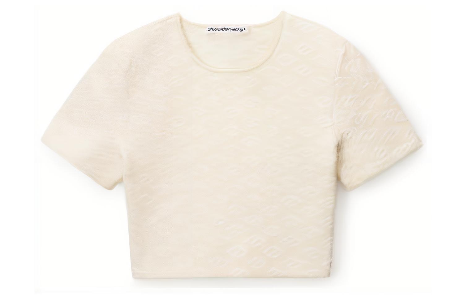 alexander wang T