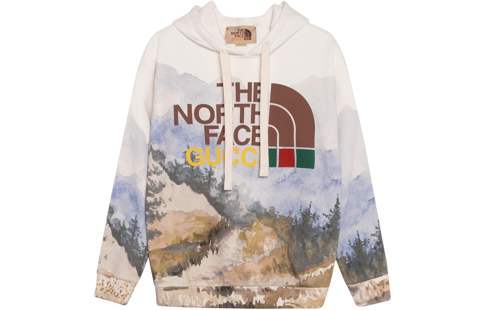 GUCCI/古驰 Gucci x The North Face SS22 Hoodie