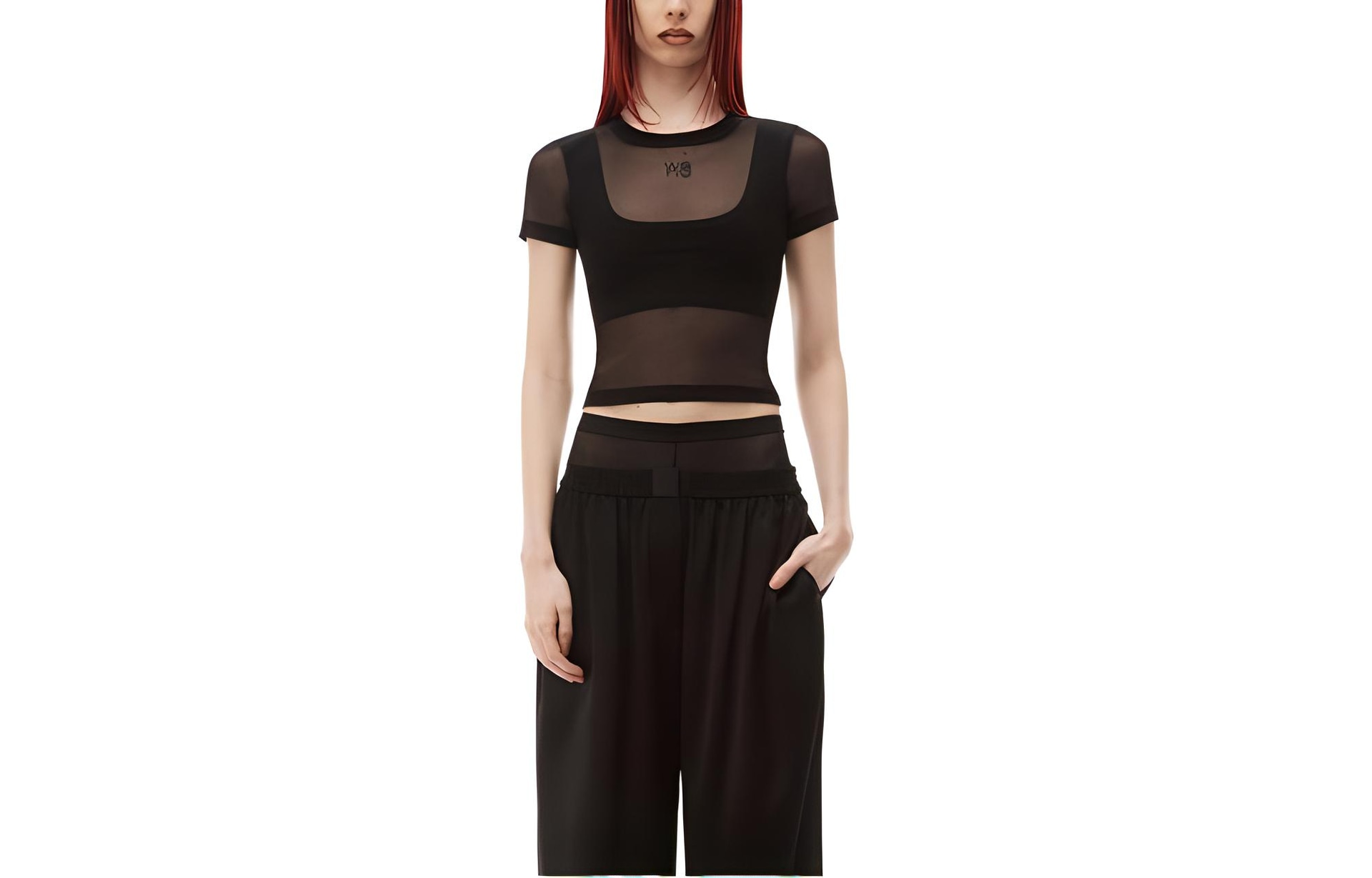 alexander wang T