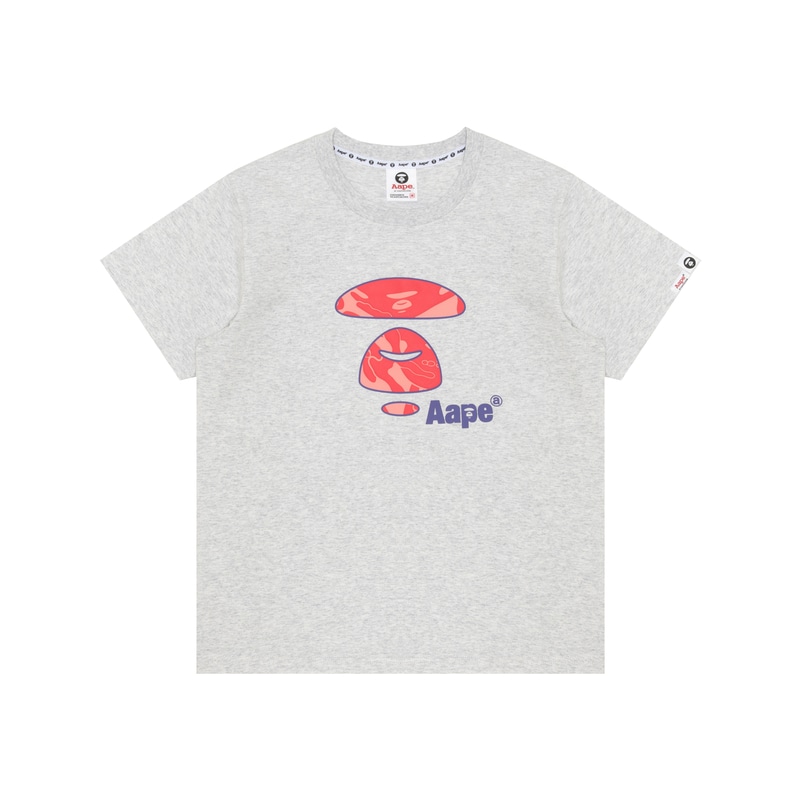 Aape T