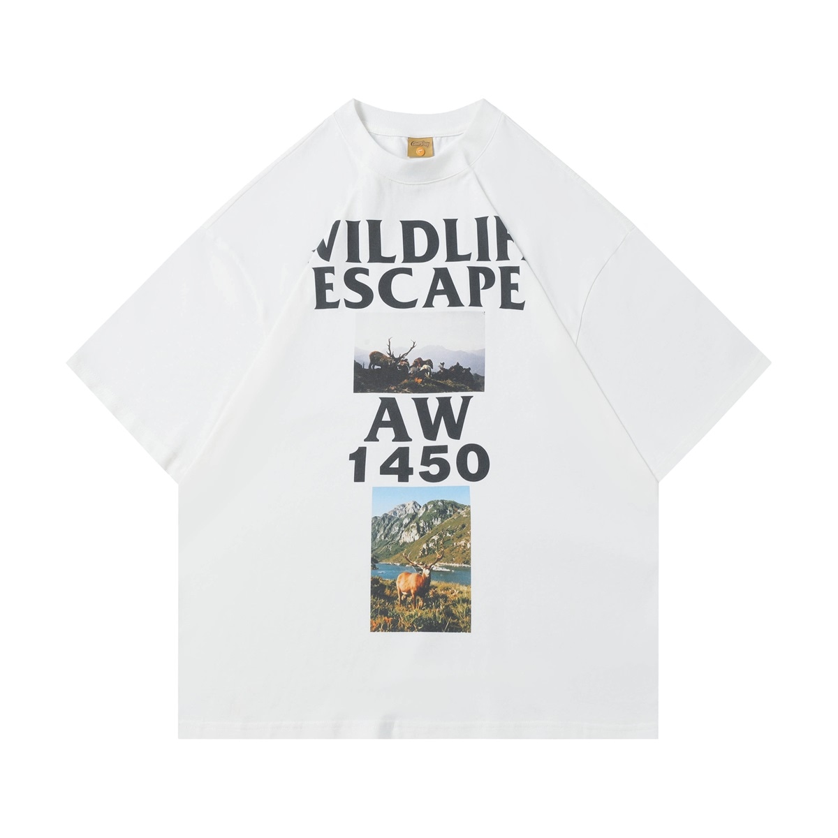 BEAR UNION T