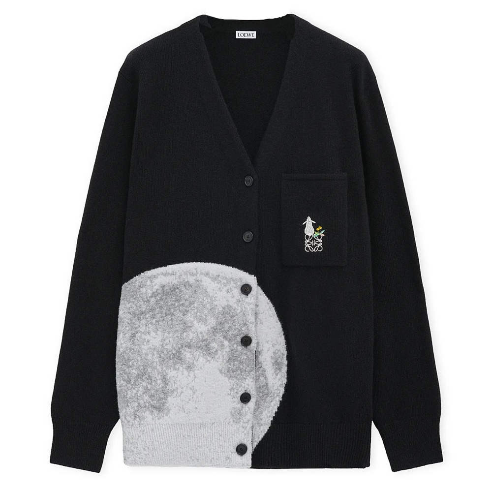 LOEWE x Suna Fujita FW24 V