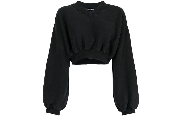 alexander wang VLogo