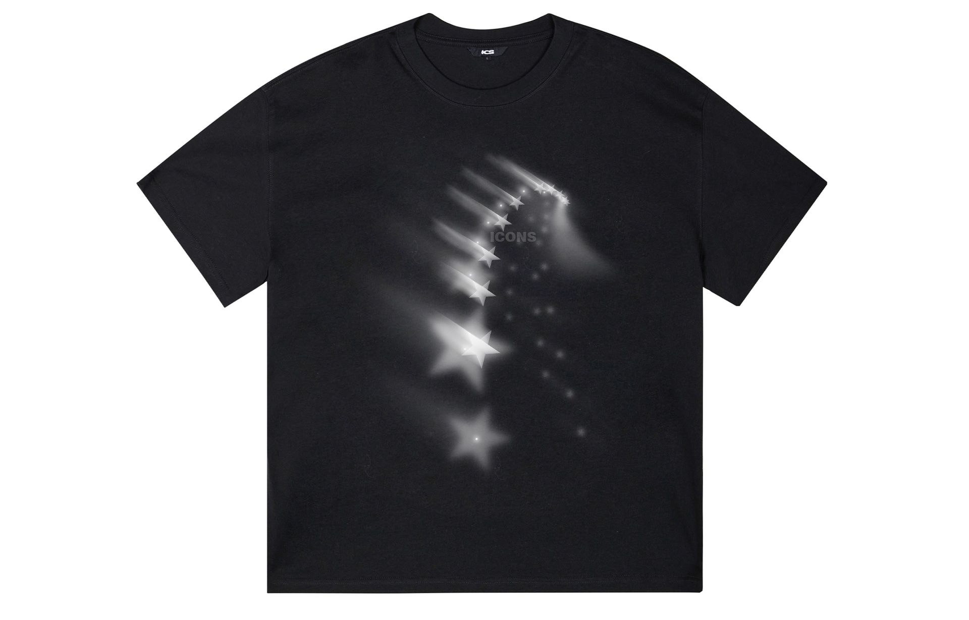 ICONS Lab ICS T