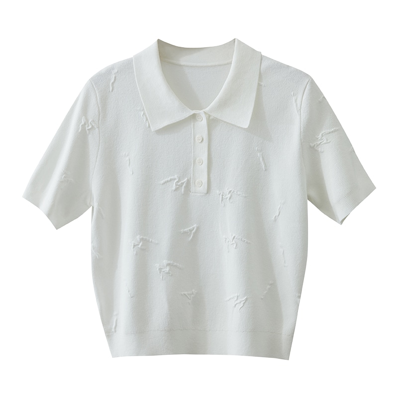 AMII POLO