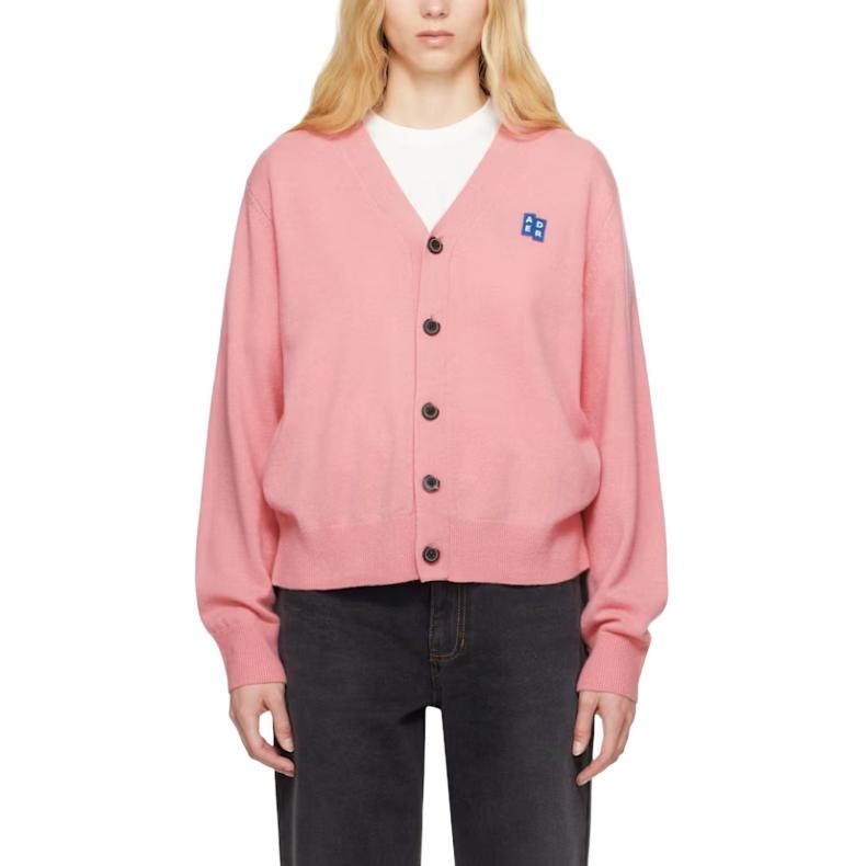 ADER ERROR Logo