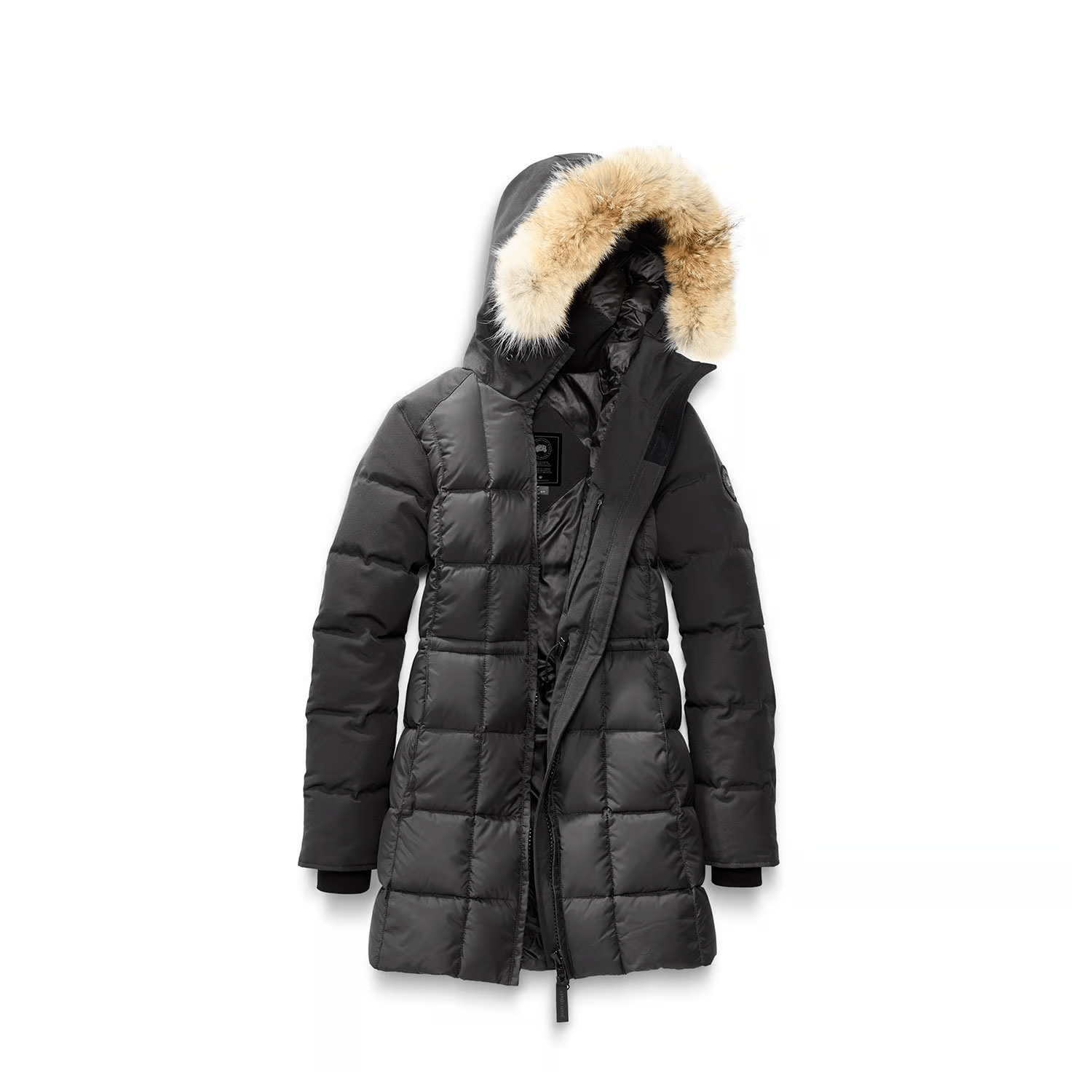 Canada Goose