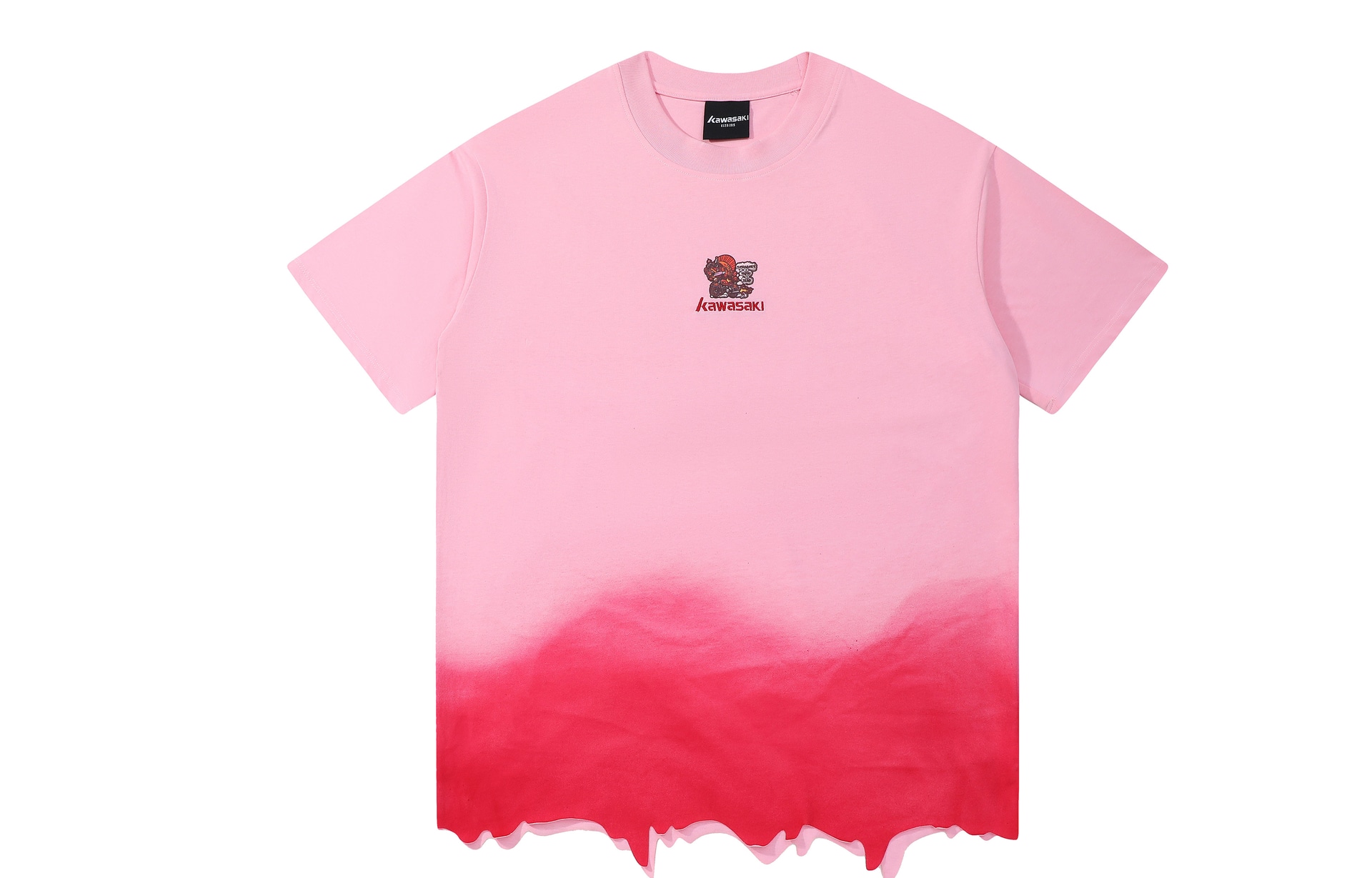 Kawasaki/川崎 Kawasaki x Sunny Tam T