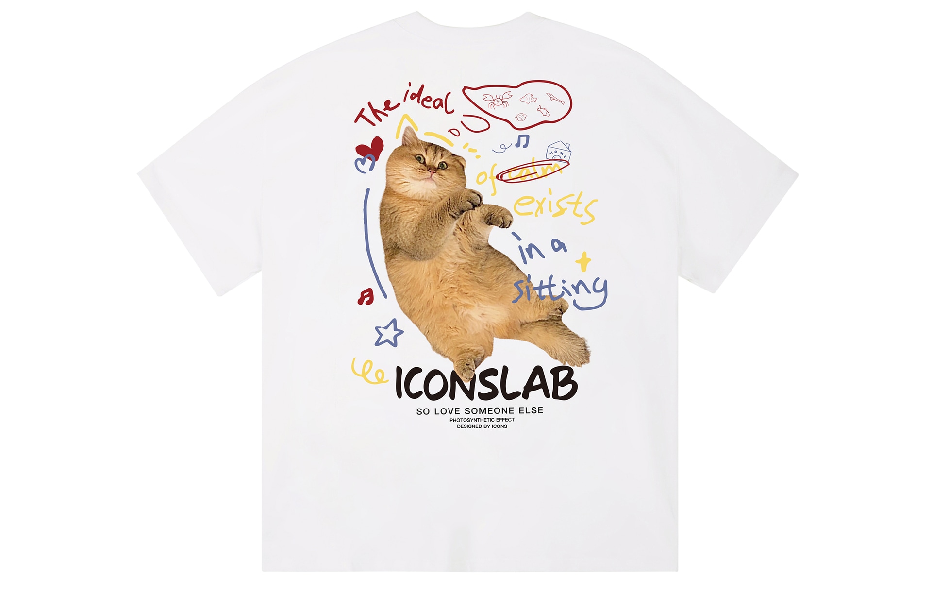 ICONS Lab T